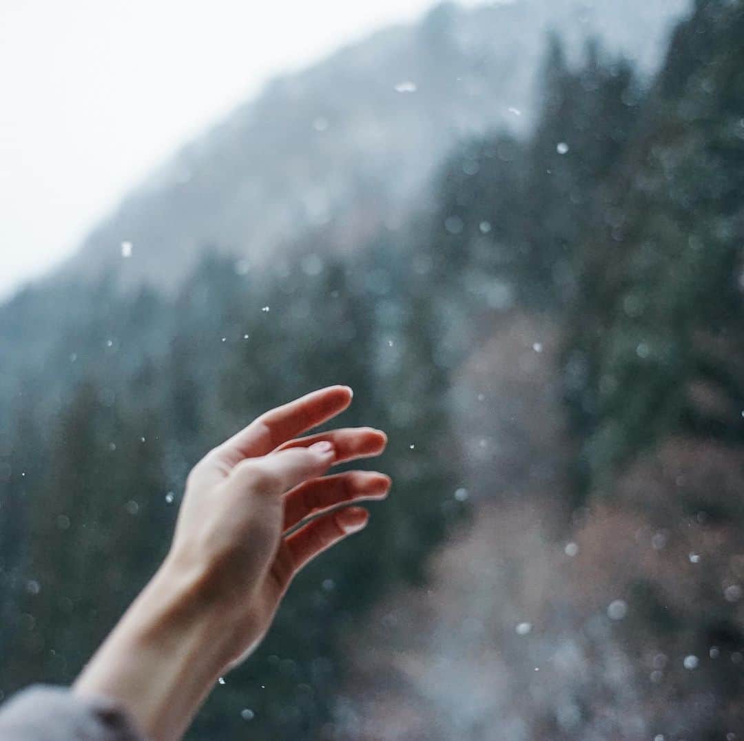 Naokoのインスタグラム：「❄︎ * 山で見る雪は不思議と暖かい」