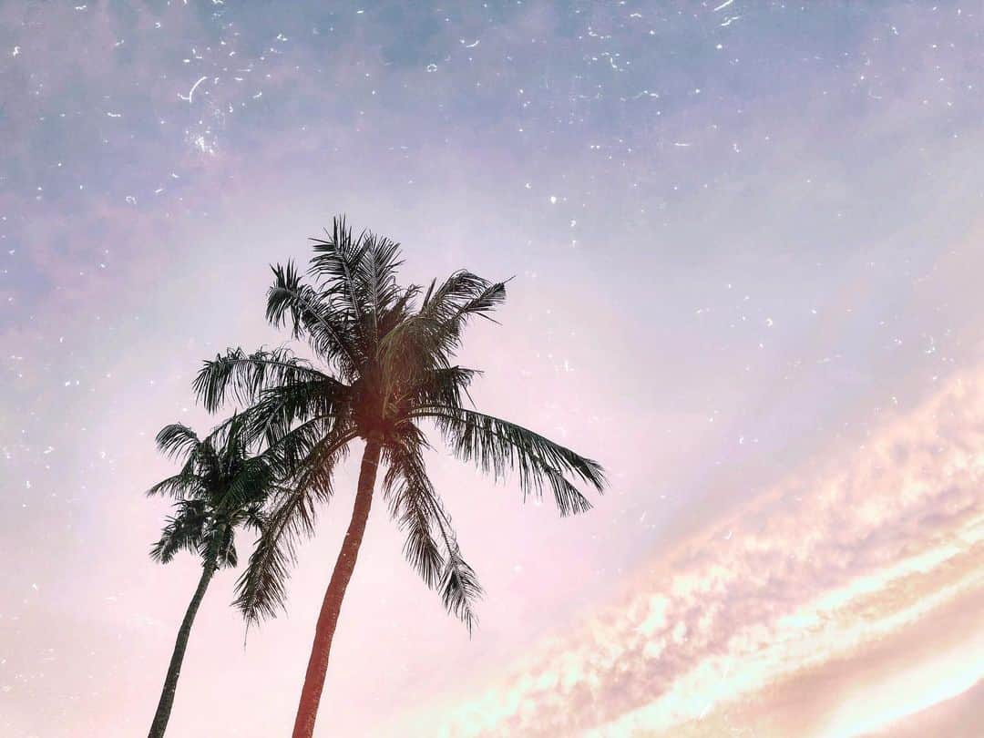 紺谷みえこのインスタグラム：「寒い日からの明日は暖かい日。 天気も大忙しですね🌺 寒暖差は自律神経が乱れやすいので、湯船に浸かったり、深呼吸を意識したり(特に腹式呼吸で吐く息👃)、背筋を伸ばして バランスを整えましょう🌴 ・ #健康第一 #実感 #寒暖差 #腹式呼吸 #深呼吸 #海外 #いつかのグアム #Palm #sky #natural #instalike #photo #guam #trip #resort」