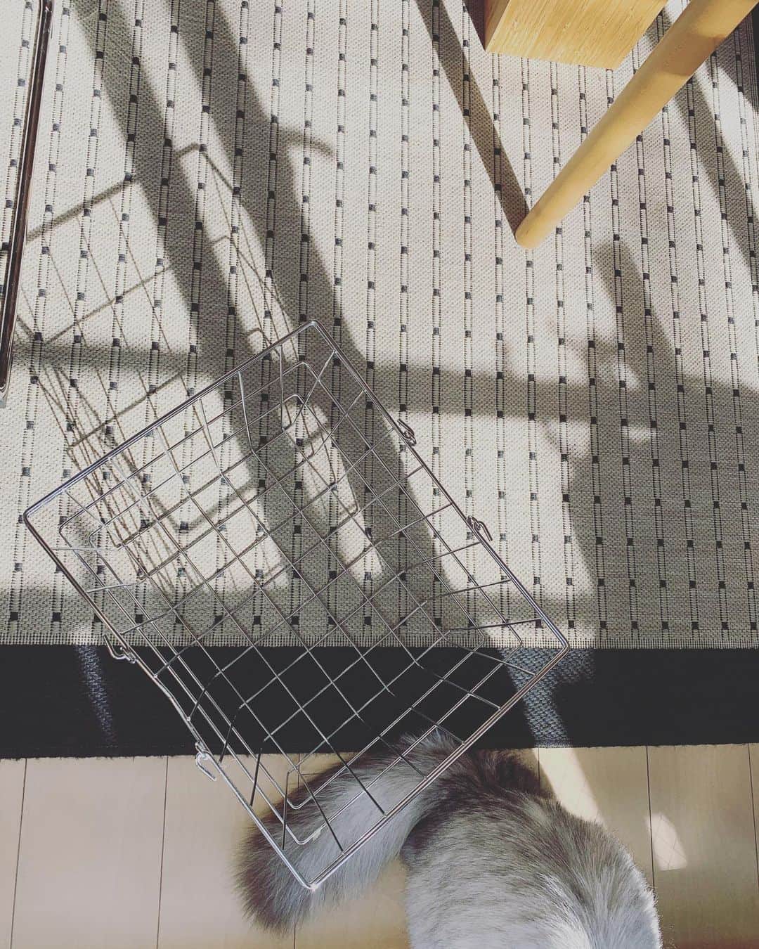 奥菜恵さんのインスタグラム写真 - (奥菜恵Instagram)「やっと晴れました☀️ 今日は洗濯機2回まわしました！！ #洗濯日和  #洗濯好き」1月29日 12時19分 - megumi_okina