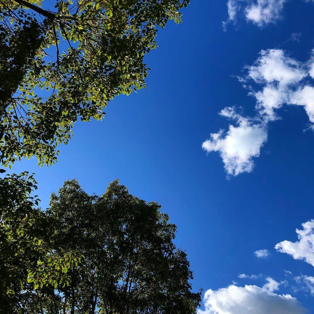 千秋さんのインスタグラム写真 - (千秋Instagram)「晴れた冬の空。 青空大好き。」1月29日 12時35分 - chiaki77777