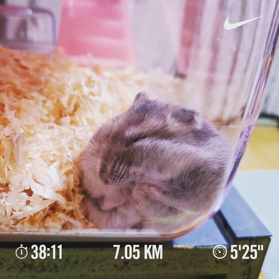 磯部正文のインスタグラム：「ラン🏃 寒暖差ありすぎ☀」
