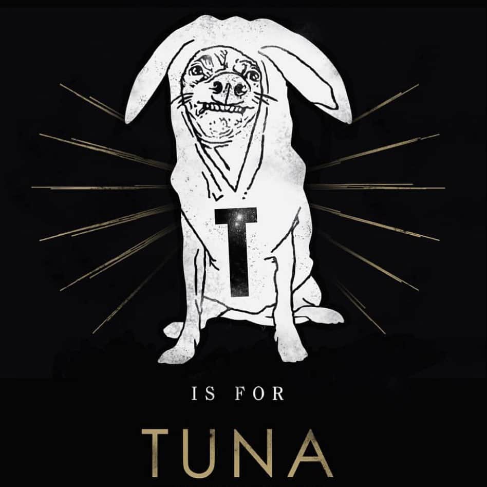 Tuna {breed:chiweenie} さんのインスタグラム写真 - (Tuna {breed:chiweenie} Instagram)「This #tunainterpretations has been a very helpful illustration to teach Grace that T is for Tuna because as of now she calls him “doe”. 😂 Created by @strongboxstudio #tunartuesdays」1月29日 5時53分 - tunameltsmyheart