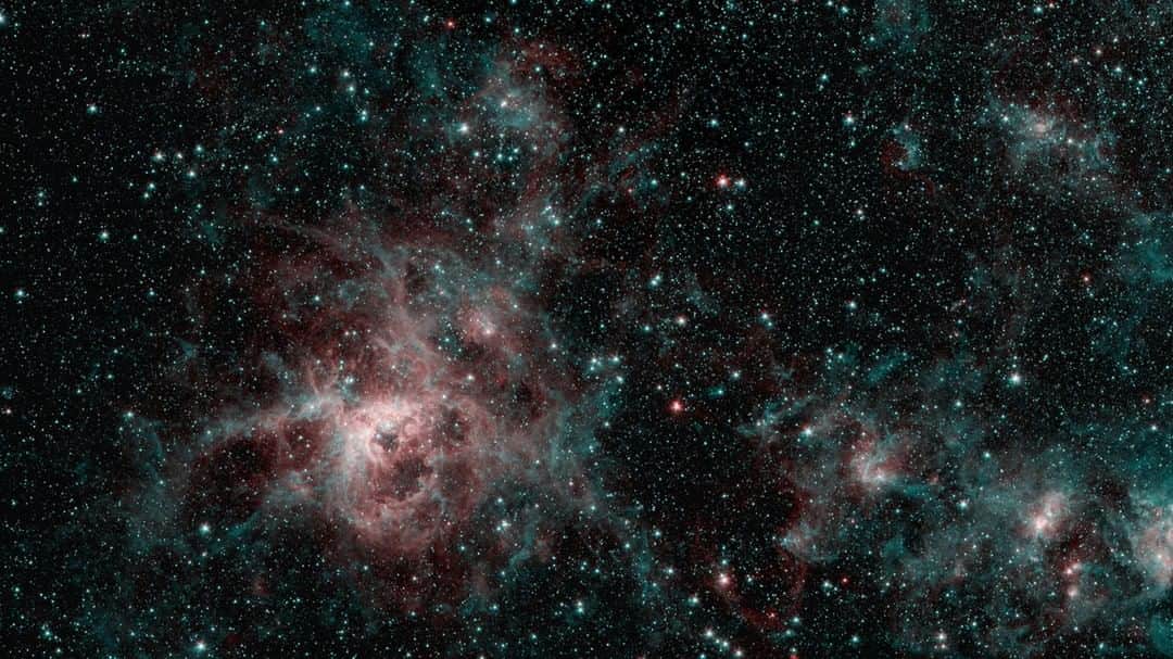 NASAさんのインスタグラム写真 - (NASAInstagram)「Time to revisit Tarantula Nebula 🕷️⁣ ⁣ The Tarantula Nebula was one of the first targets studied by Spitzer Space Telescope after its launch in 2003. Now that the infrared observatory is set to be retired on Jan. 30, scientists have generated a new view of the nebula from Spitzer data.⁣ ⁣ Even though infrared light is invisible to the human eye, some wavelengths of infrared can pass through clouds of gas and dust where visible light cannot. This is how scientists use infrared observations to view newborn stars swaddled in the clouds of gas and dust from which they formed.⁣ ⁣ Click the link in the bio for more info ⬆️⁣ ⁣ Image Credit: NASA/JPL-Caltech⁣ ⁣ #NASA #Space #Spitzer #Nebula」1月29日 7時00分 - nasa