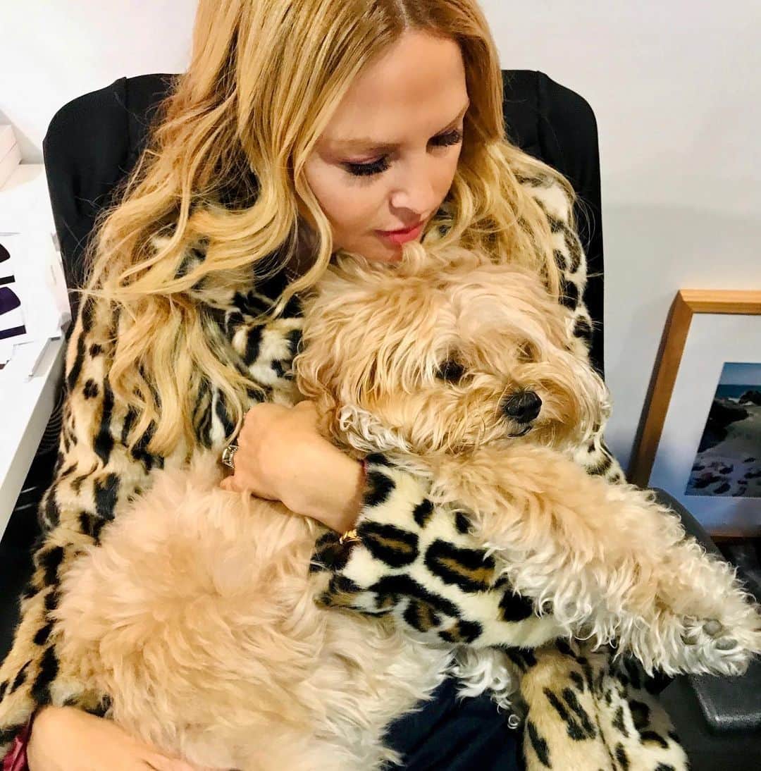 レイチェル・ゾーさんのインスタグラム写真 - (レイチェル・ゾーInstagram)「Some days you just need a little extra #love and  #cuddles ❤️🐶 *not my pup just borrowed for love #officelife XoRZ」1月29日 7時07分 - rachelzoe
