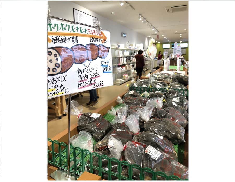 さが農村のインスタグラム：「. 佐賀県白石町は全国有数のレンコン、たまねぎの産地。 その白石町の「道の駅しろいし」へ行って来ました！ . 白石平野のミネラル豊富な粘土質で育ったレンコンはモチモチ、ホクホクとした食感が特徴。 店内にはレンコンがずらりと並び、レンコンの入った袋は赤色と緑色の2色に分かれています。  赤色の袋は「早生れんこん」。 シャキシャキの食感が特徴できんぴらなどにおすすめのもの。 緑色の袋は「晩生れんこん」でモチモチ、ホクホクした食感で煮物におすすめのものだそう。 さすがレンコンの産地ですね！ . ちなみに、泥を付けて出荷される泥付きレンコンも佐賀県産レンコンの特徴のひとつ。水分と養分を含んだ土が光や空気から守る保湿の役割を果たし、日持ちをよくしているのです。 . 他にも産地ならではの「レンコンチップス」やお土産に人気の「たまねぎスープ」なども並んでいます。 手作りのレンコンチップスは色々な味もあって、その中でも今回は塩味をチョイス！塩も効いてパリパリで美味しい！ . 展望デッキからは周りのレンコン畑も眺めることができますよ。2階にはレストランもあって、白石産の特産品を使った料理を楽しめます。 . . ＜道の駅しろいし＞ 住所：佐賀県杵島郡白石町大字福富下分306番地4 TEL：0952-87-2116 . . #さが農村#佐賀産#さが#サガ#佐賀#saga#白石町#レンコン」
