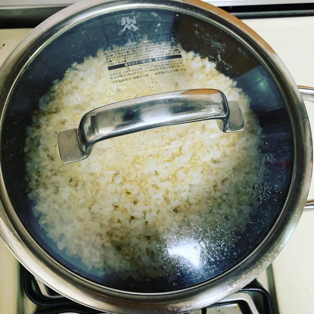 安田美沙子さんのインスタグラム写真 - (安田美沙子Instagram)「時短晩ご飯。 バーミキュラで、シャケ、じゃがいも、かつお菜をハニーマスタードで蒸し焼きにして、WMFの鍋でお米を炊く。玄米ミックスが美味しい❤️ ちょっと崩れちゃったけど、ほったらかしごはんです。 コストコの鮭の切り身ふわふわでおいしーい✨ . . . #instagood #instafood #salmon #honeymasterd #益子焼 #vermicular  #wmf #spoon #vintage #christofle  #息子も食べてくれました #夜も朝もこれ #すまぬ」1月29日 9時04分 - yasuda_misako