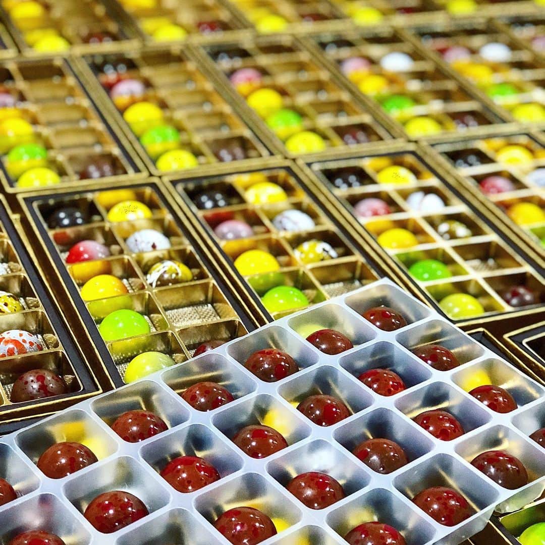 eguchikazuakiのインスタグラム：「チョコレートは真っ黒なシックなショコラよりもカラーバリエーションがあって艶やかな方が、プレゼントとしては好き😋 味はなんだかんだシンプルなものが好きだけど、複雑な構成でシンプルな味わいが特に好き。  今年も個性的なチョコレートを一つの箱に押し込みました、動物園みたいな感じ🐘 象さんやシマウマさんもいれば花形パンダさんもいるし、クセのあるヘビさんやコウモリさん🦇噛まれる恐れのワニさんもいる🐼🐊 そんなチョコレートの詰め合わせ🍫  ケーキも同じ考え方、動物園ラインナップ。  チョコレートの作り方とか、材料とか伝えていかなきゃ、動画でも撮るか❓  #delimmo #デリーモ #チョコレート #パティシエ #ショコラティエ #eguchikazuaki #江口和明 #ボンボンショコラ #ショコラ #バレンタイン #艶々 #味わい #動物園 #パンダさん #なんだその例え #チョコレート動画 #撮ろうかな #見るかな #見ないかな」