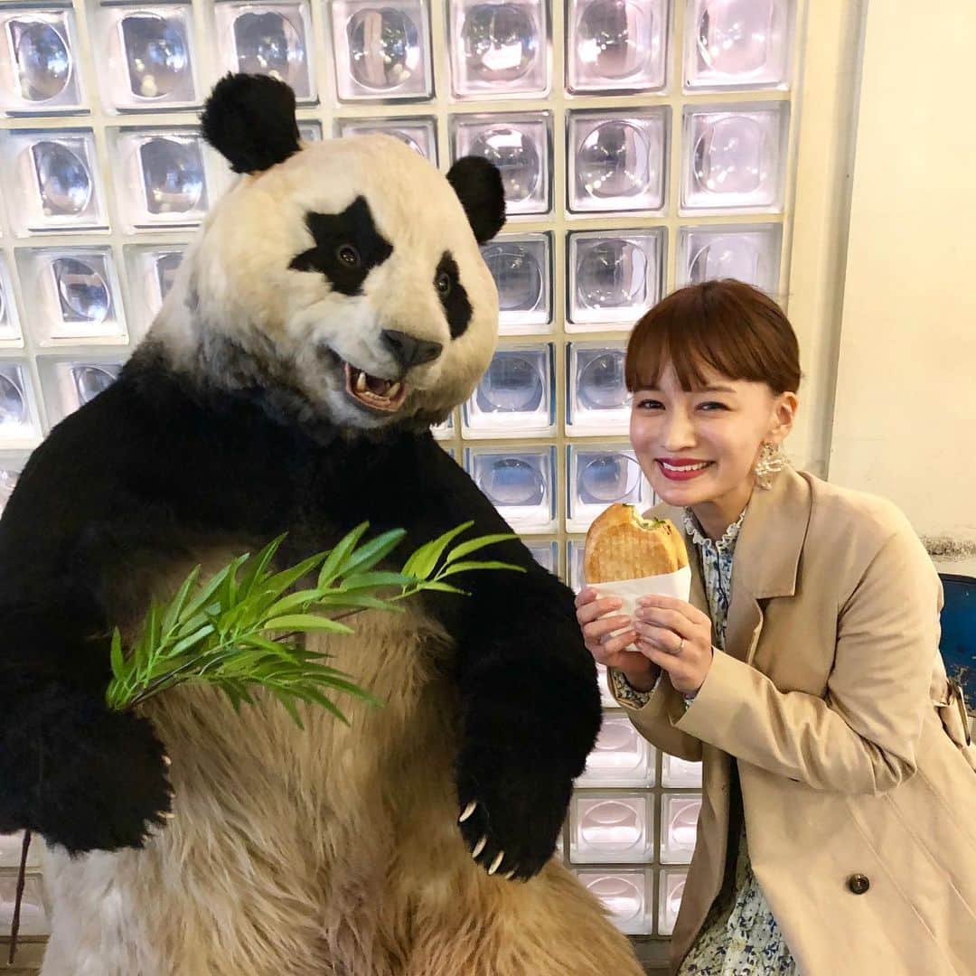 ZIP!のグルメインスタ