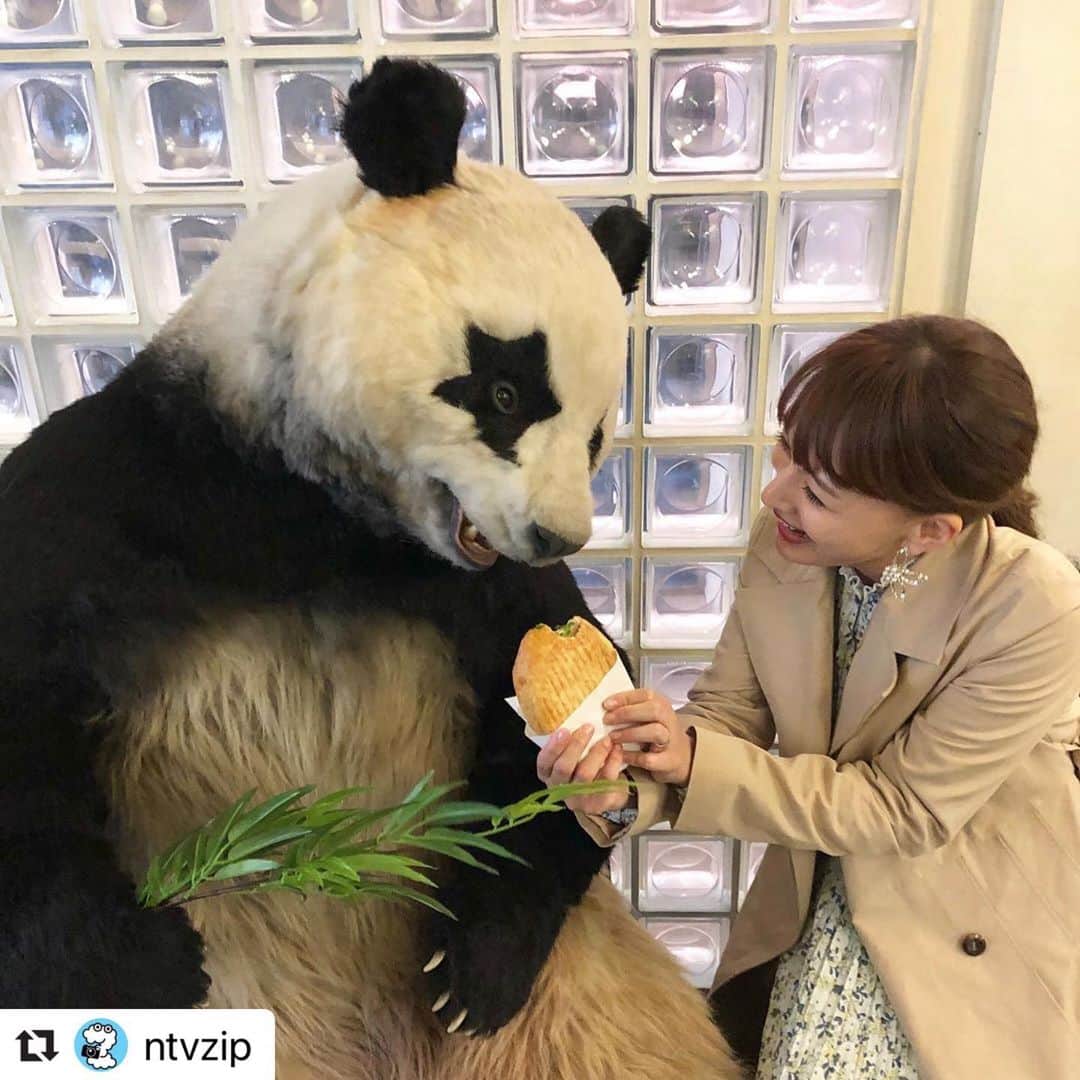 星星（セイセイ）のグルメインスタ