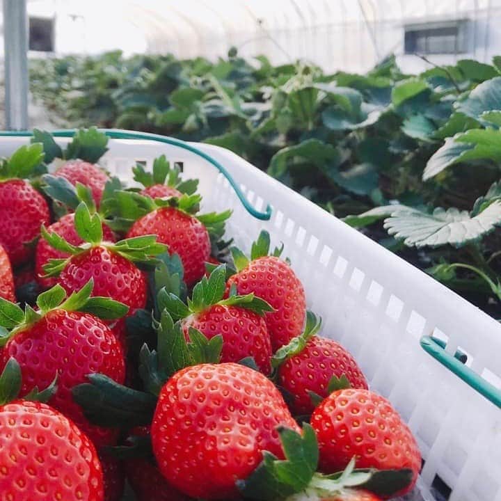 Blue Bottle Coffee Japanのグルメインスタ