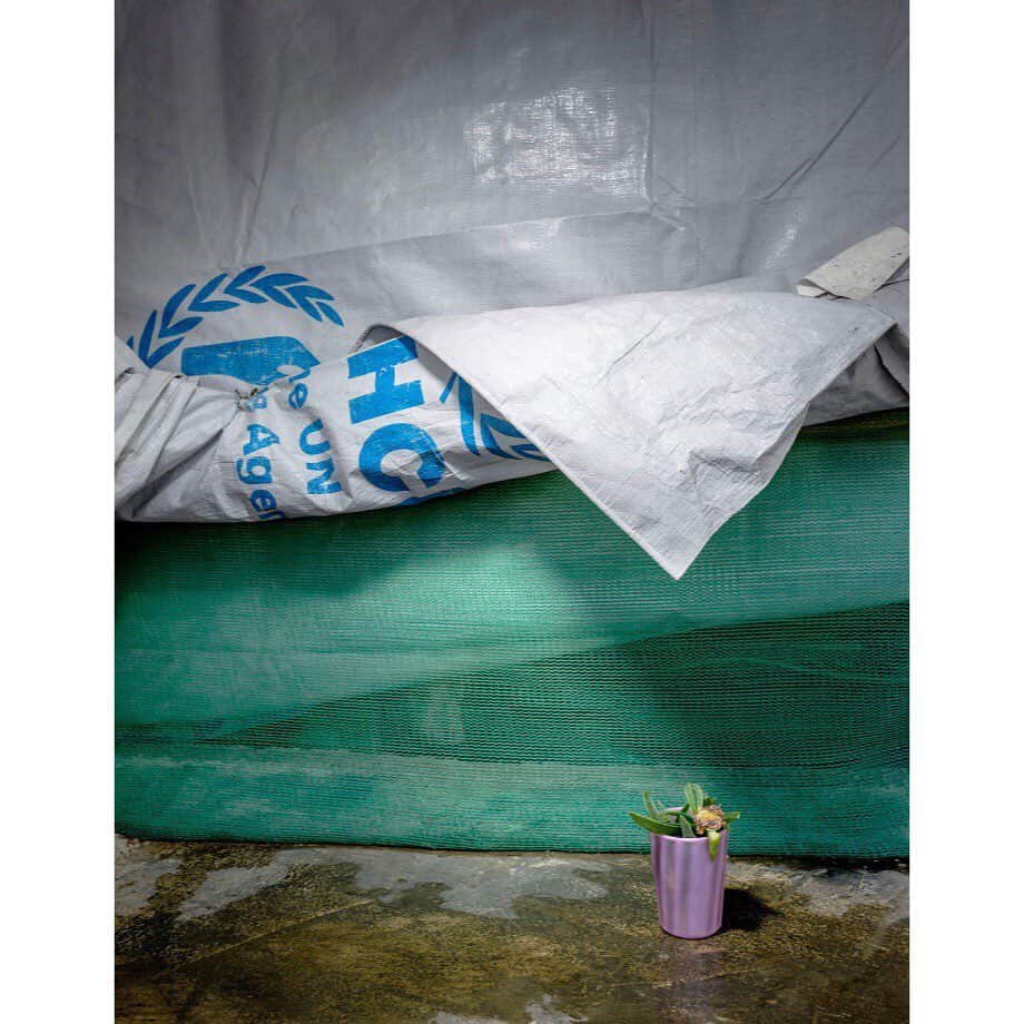 のインスタグラム：「#henkwildschut 🌱 #2018 A selection of pictures by photographer Henk Wildschut. These are flowers and plants he noticed when visiting refugee camps across the Middle East and Europe. A beautiful and haunting way to remind us of their humanity.」