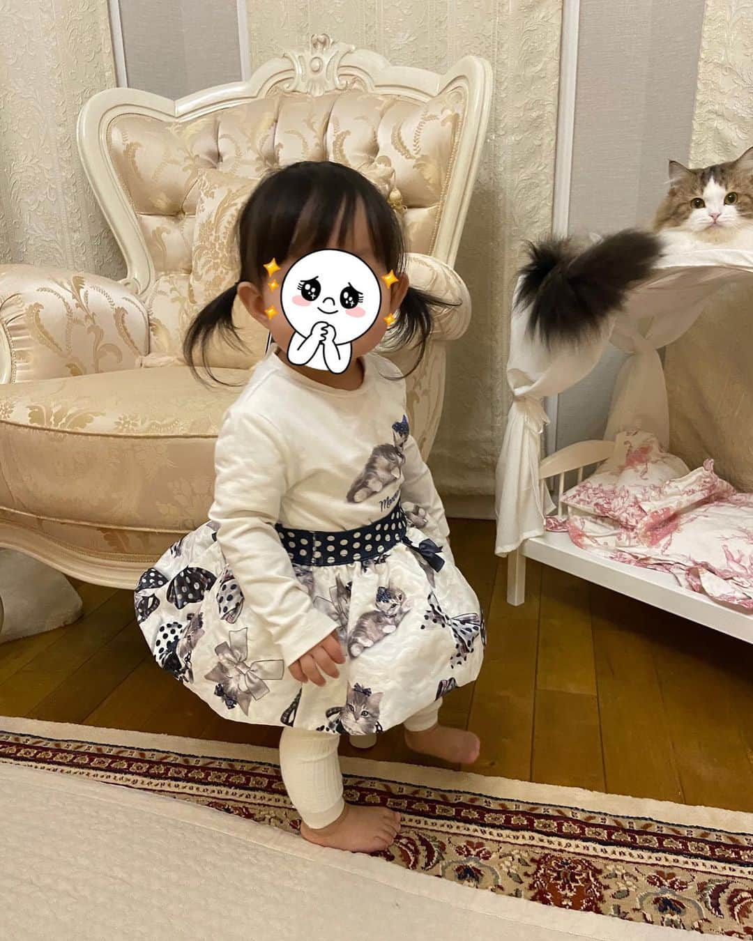 マンチカンのココ王子さんのインスタグラム写真 - (マンチカンのココ王子Instagram)「娘に毛を引っ張られることが殆どなくなったから ちょっとずつ娘への警戒心が薄れてきたモカちゃん✨ まだ逃げちゃうけどね😂  最後の表情😂  @monnalisa_official  #ミヌエット#ミヌエット長毛#cat#gato#gattino#猫#1歳2ヶ月#1歳2ヶ月女の子#monnalisa#モナリザ子供服#猫との暮らし」1月29日 21時37分 - cocolog_cat