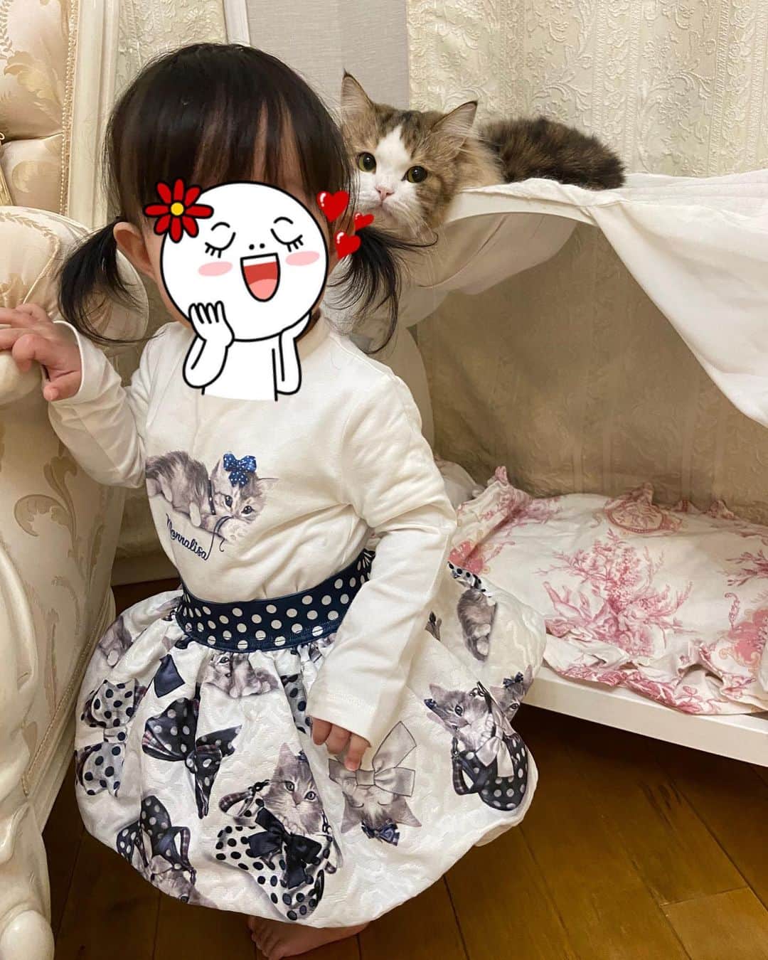 マンチカンのココ王子さんのインスタグラム写真 - (マンチカンのココ王子Instagram)「娘に毛を引っ張られることが殆どなくなったから ちょっとずつ娘への警戒心が薄れてきたモカちゃん✨ まだ逃げちゃうけどね😂  最後の表情😂  @monnalisa_official  #ミヌエット#ミヌエット長毛#cat#gato#gattino#猫#1歳2ヶ月#1歳2ヶ月女の子#monnalisa#モナリザ子供服#猫との暮らし」1月29日 21時37分 - cocolog_cat