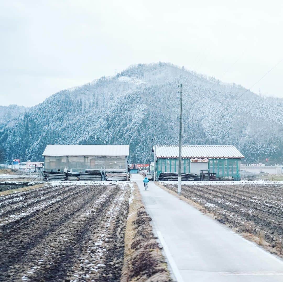 Naokoのインスタグラム：「one country road.. * 大好きな田舎道 早く娘と走り回りたいな〜」