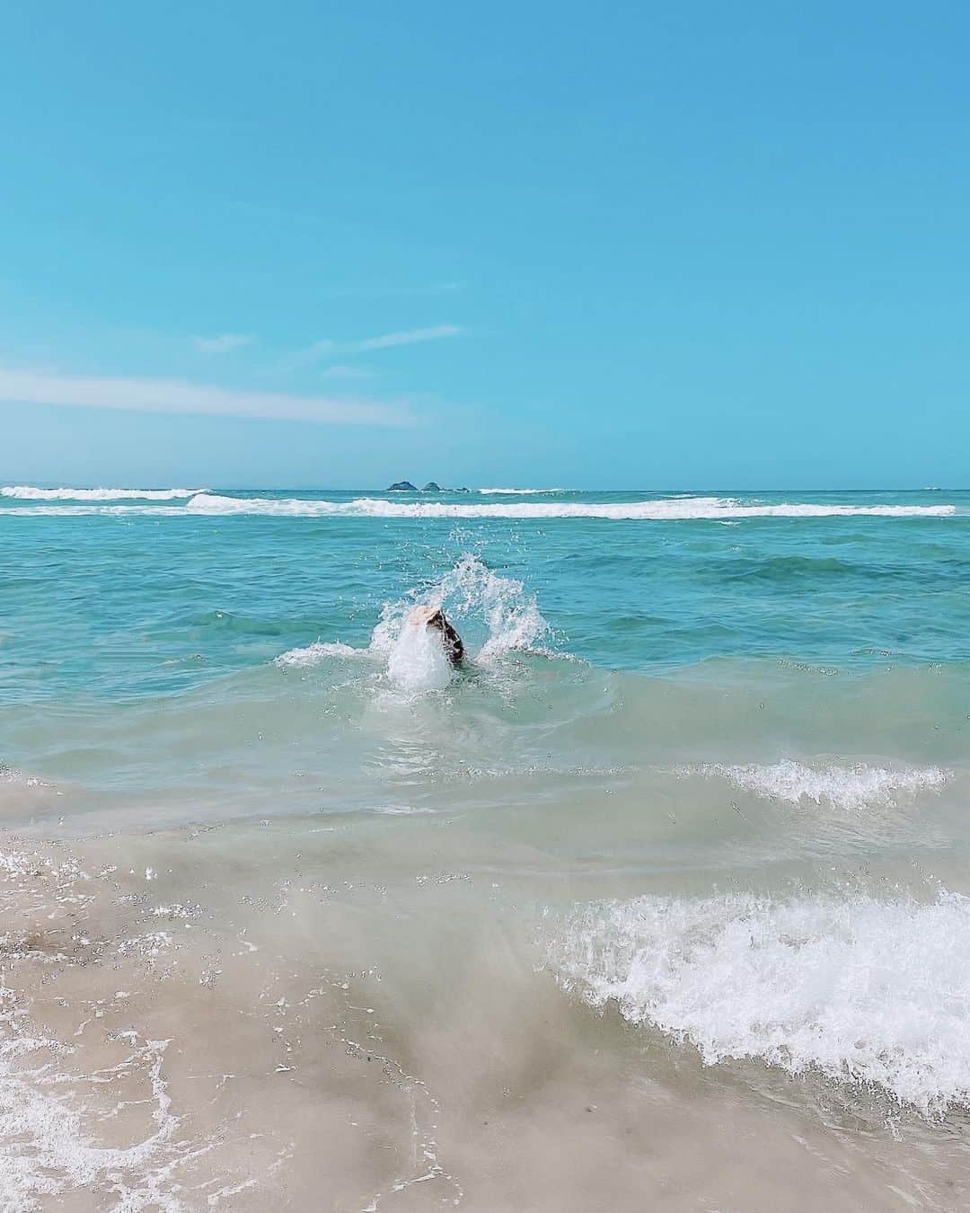 山中美智子さんのインスタグラム写真 - (山中美智子Instagram)「お気に入りの Beach がありまくるByron bay ⛱  とてもきれいで人が少なめなWategos Beachは 泳いだり、ゆっくりしたり、ちょっとハイキング気分で高台に登って海を見たり👌🏾 娘は木陰で気持ちよさそうにお昼寝してたので♡  私は、日焼けして泳ぐの繰り返し🌞」1月29日 22時08分 - alexiastam1988