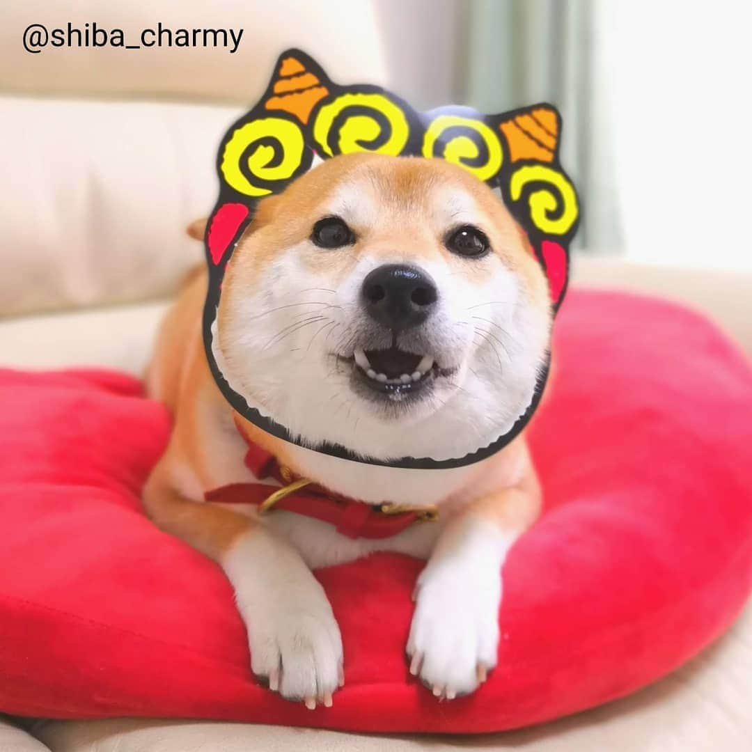 ちゃみさんのインスタグラム写真 - (ちゃみInstagram)「. 👹  去年の鬼ちゃん😆 お面くり抜き～ 今年はどのお面にしようかな😁 . #柴犬#しばいぬ#犬#pecoいぬ部#いぬのきもち#節分 #shiba#shibainu#dog#adorable」1月29日 22時19分 - shiba_charmy