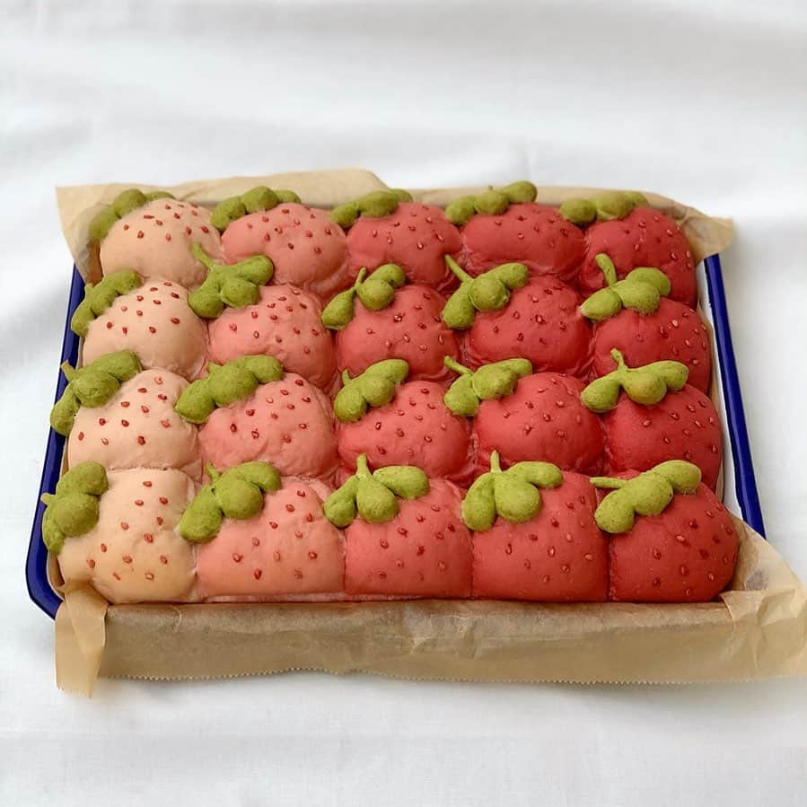 Ranさんのインスタグラム写真 - (RanInstagram)「. . . 苺のお寿司の次は、 苺のちぎりパン♡ . 白い苺から赤い苺のグラデーション🍓 . . . This is strawberry bread 🍓🍓 . . . . #bread #kawaii #kawaiifood #japanesefood #strawberry #strawberrycake #strawberrybread #breadclass #homecooking #baker #sweets #苺 #パン #手作りパン #ちぎりパン #苺パン #菓子パン #苺ジャム #ジャムパン #チョコパン #白い苺 #白苺 #朝ごパン #3時のおやつ #手作りおやつ #苺柄 #パン教室 #konel #🍓」1月29日 22時18分 - konel_bread