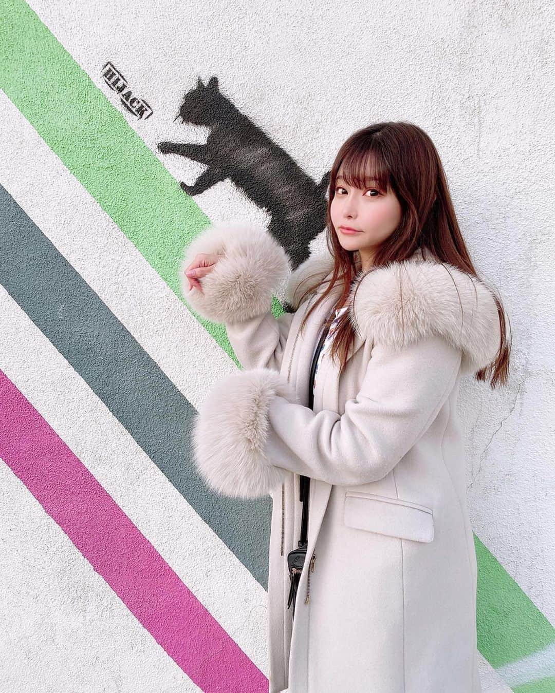 利咲さんのインスタグラム写真 - (利咲Instagram)「ネコレクション。にゃん。  #melrose #melroseavenue #ねこ #cat #ネコレクション #wallart #losangels #California #LA #ロサンゼルス #メルローズ」1月29日 14時09分 - himeringo908