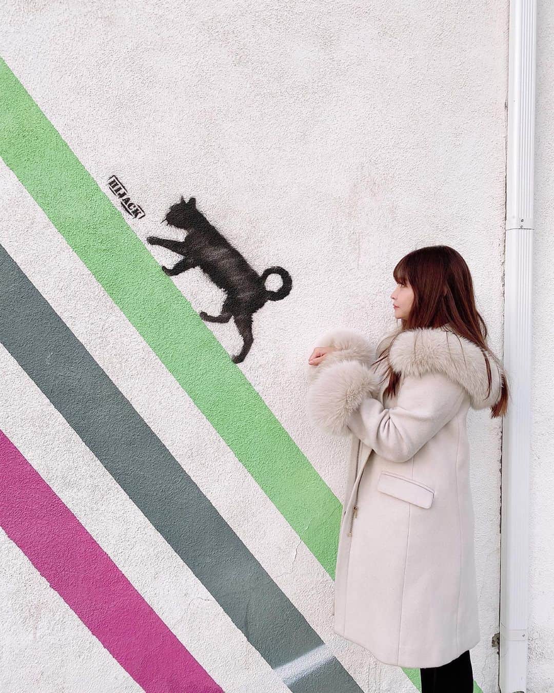 利咲のインスタグラム：「ネコレクション。にゃん。  #melrose #melroseavenue #ねこ #cat #ネコレクション #wallart #losangels #California #LA #ロサンゼルス #メルローズ」