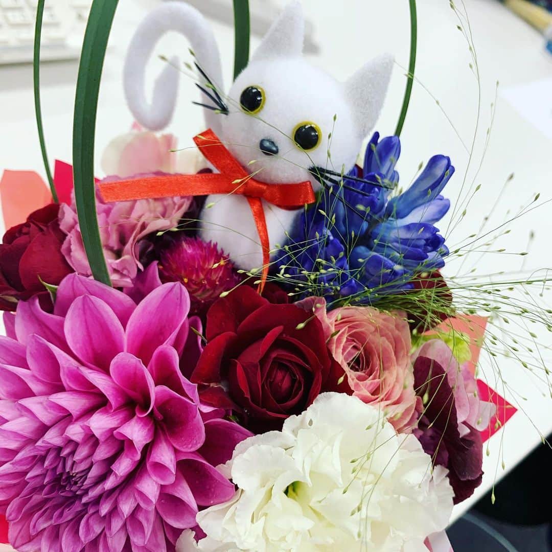 ティーナ・カリーナさんのインスタグラム写真 - (ティーナ・カリーナInstagram)「「輝く！昭和歌謡祭」で、素敵なお花の写真撮影ブースを作ってくださったフラワードさんに頂いたマジカルブーケ💐  猫ちゃんがいます💕 可愛い😍 フラワードさん、いつもありがとうございます💐  #花のフラワード #猫ちゃん #ブーケ」1月29日 14時49分 - tiina_kariina