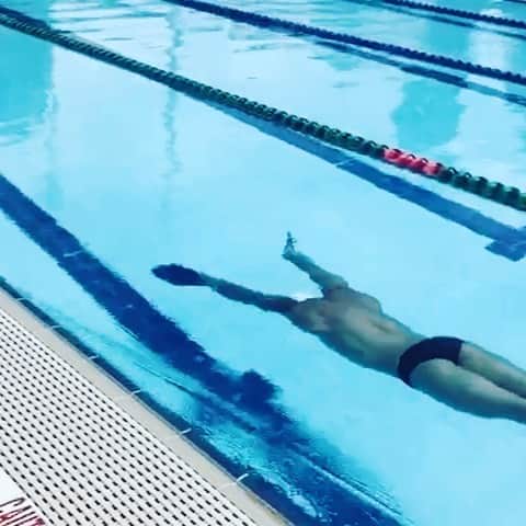 アダム・ピーティのインスタグラム：「A good drill to do under pressure and build the lungs; go as far as you can go under water whilst maintaining technique and composure with paddles on. I’m not focusing much on my lower half with big fly kicks as I that’s not the objective. Repeat as many times as you want. 60m next week 🥴 Comment below what drills you want to see next👇🏼」