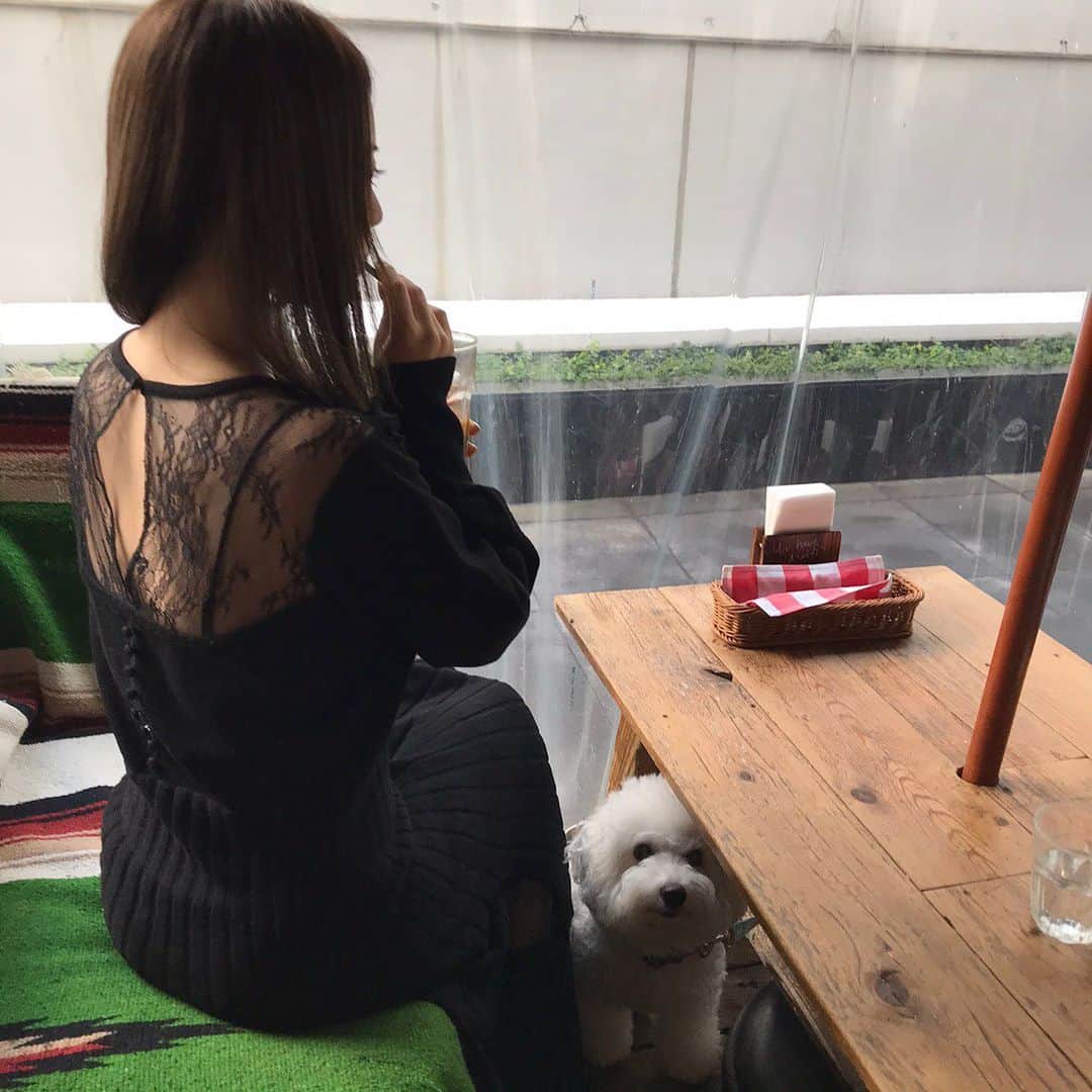 関根理紗さんのインスタグラム写真 - (関根理紗Instagram)「イッヌお一緒に行けるカフェに行った時の写真🐕  背中がかわいいニットワンピはherliptoの🥰✌️ 裾のところもサイドがレースになっててかわいい😍  隣でハナマサがべしょーってなってます。  近々トリミングだからまた丸になるたのしみ🥰  #herlipto #ハナマサ #ドッグカフェ」1月29日 15時36分 - sekine.risa