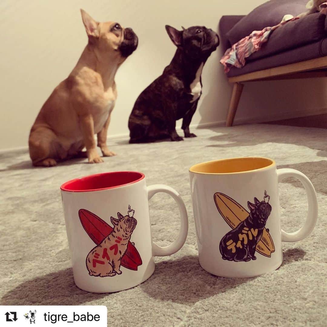French Bulldog Lifeのインスタグラム