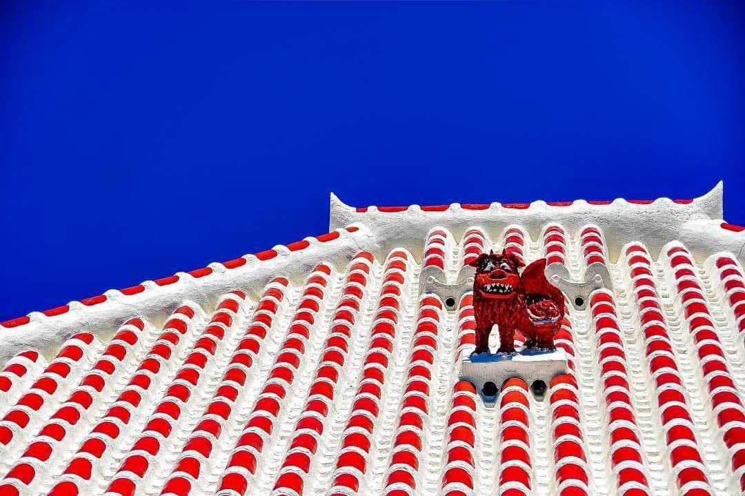 Be.okinawaさんのインスタグラム写真 - (Be.okinawaInstagram)「Have you wondered why the traditional Okinawan buildings have those red-tiled roofs? The tiles used on the buildings are made out of Kucha, an iron-rich mudstone unique to Okinawa that turns a beautiful vermilion color when baked! Kucha is used for its heat and humidity-controlling properties. Tiles made out of Kucha absorb moisture from the air, which serves to dissipate heat when it evaporates. This helps to make a much cooler house -- perfect for a subtropical island like Okinawa! 📷:@takao.maki  #taketomiisland #yaeyamaislands #竹富島 #八重山群島 #다케토미섬 #야에야마제도 #八重山諸島 #シーサー #shisa #redrooftiles #beokinawa #visitokinawa」1月29日 16時00分 - visitokinawajapan