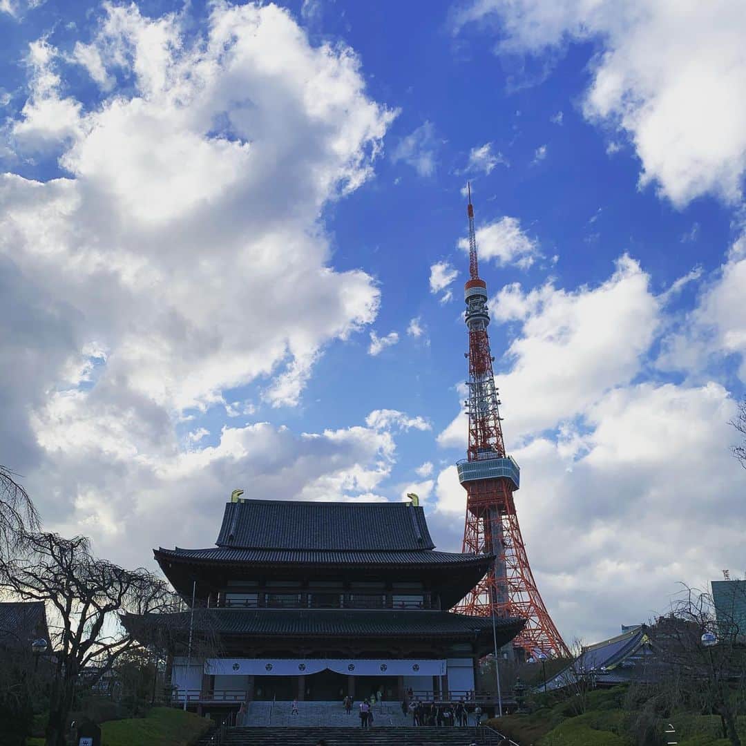 田中ウルヴェ京さんのインスタグラム写真 - (田中ウルヴェ京Instagram)「増上寺。 今日の天気は歩きたい気分になる。 そういえば東京マラソン完走した時、増上寺前を通り過ぎる時が一番やる気失ってたなあ。。。」1月29日 16時16分 - miyako.tanaka.oulevey