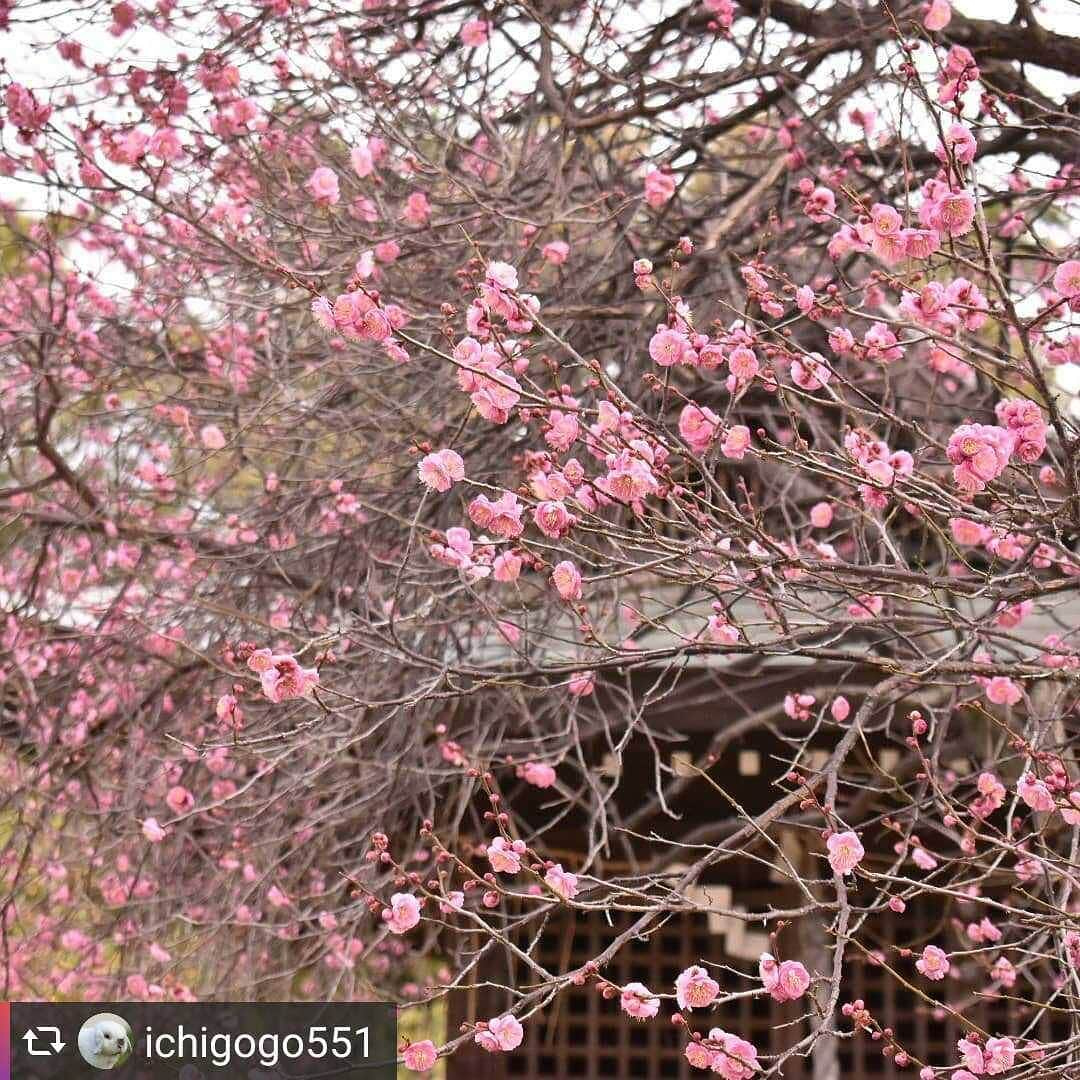 兵庫県のインスタグラム