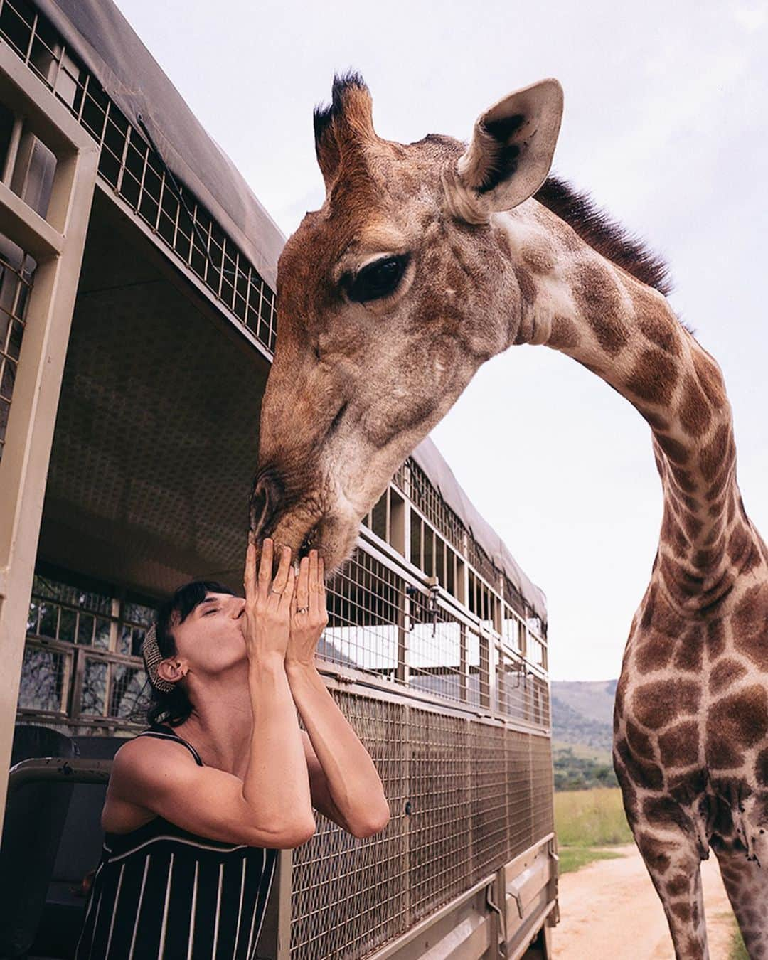 アンナ・キールバシンスカさんのインスタグラム写真 - (アンナ・キールバシンスカInstagram)「Żyrafy są mega!🦒」1月29日 16時41分 - annakielbasinska