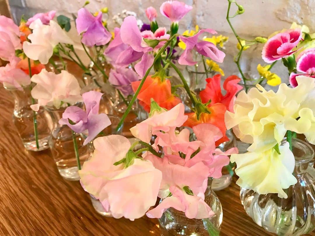 ホテルパシフィック金沢のグルメインスタ