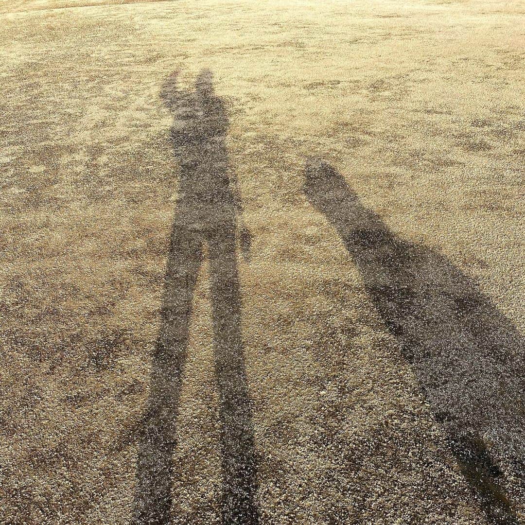 今田美奈さんのインスタグラム写真 - (今田美奈Instagram)「𓂃 今日は昼に少し雨が降ったけどやっと晴れたね🌤 久しぶりにしっかりお散歩できた~🐾 #dogstagram#goldenretriever」1月29日 17時10分 - _minaimd.j_