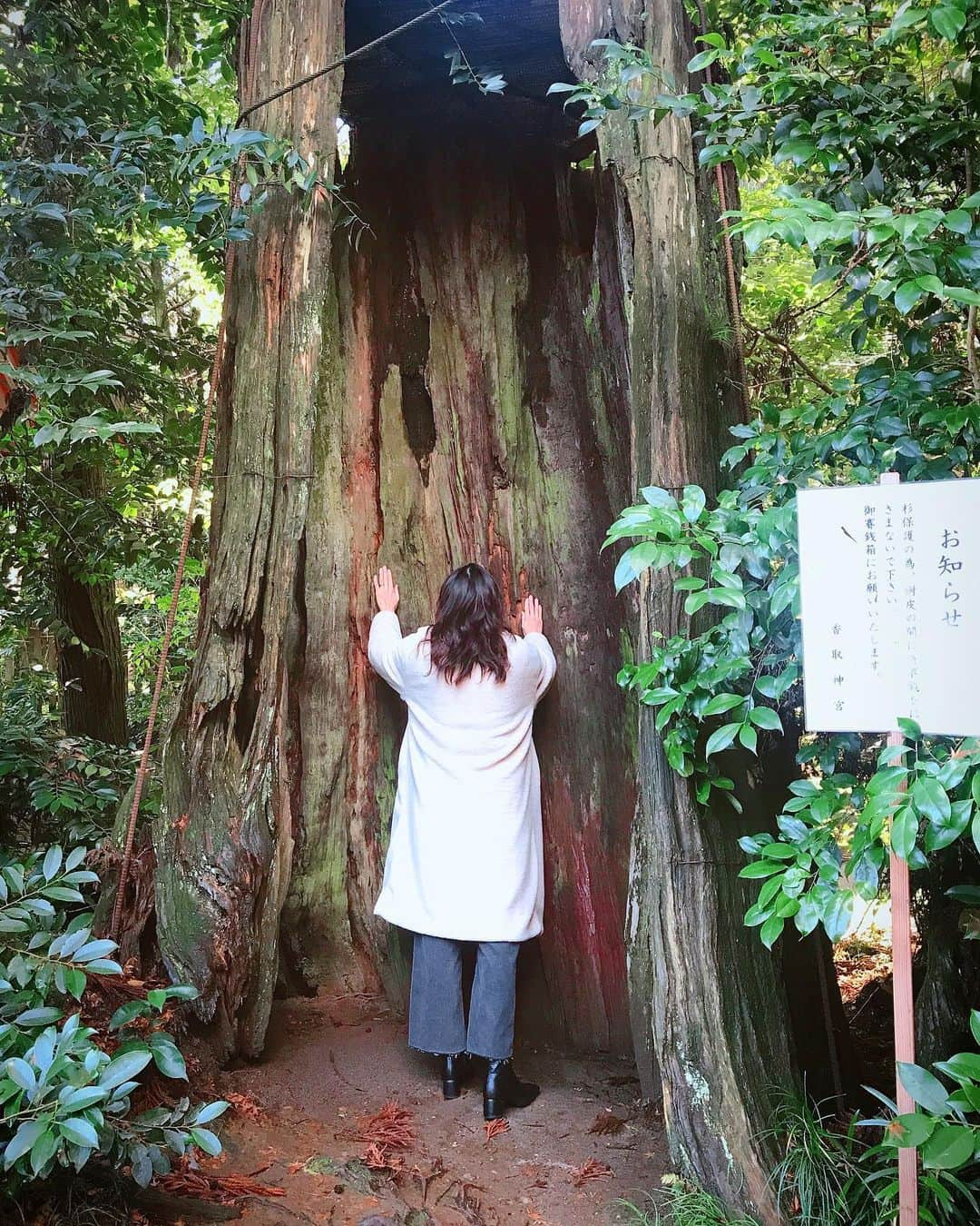 大森美知さんのインスタグラム写真 - (大森美知Instagram)「春だね🌸神社ついたら たまたま今日は大安だし前厄なのを知った今日。 思い立って親友に連れてきてもらえた場所 「#香取神宮 」 いい休日を過ごせた☺️ 厄払いしてきました⛩🌲 ここの香取神宮の#三本杉 のPOWERが凄い。（1枚目） #奥宮 #要石 にお願い事してきました☺️ . #神社参拝 #大安  #厄払い #女の人30代厄年ばっかり #ちーちゃん連れてきてくれてありがとう #千葉 #香取」1月29日 17時34分 - michi_oomori_official