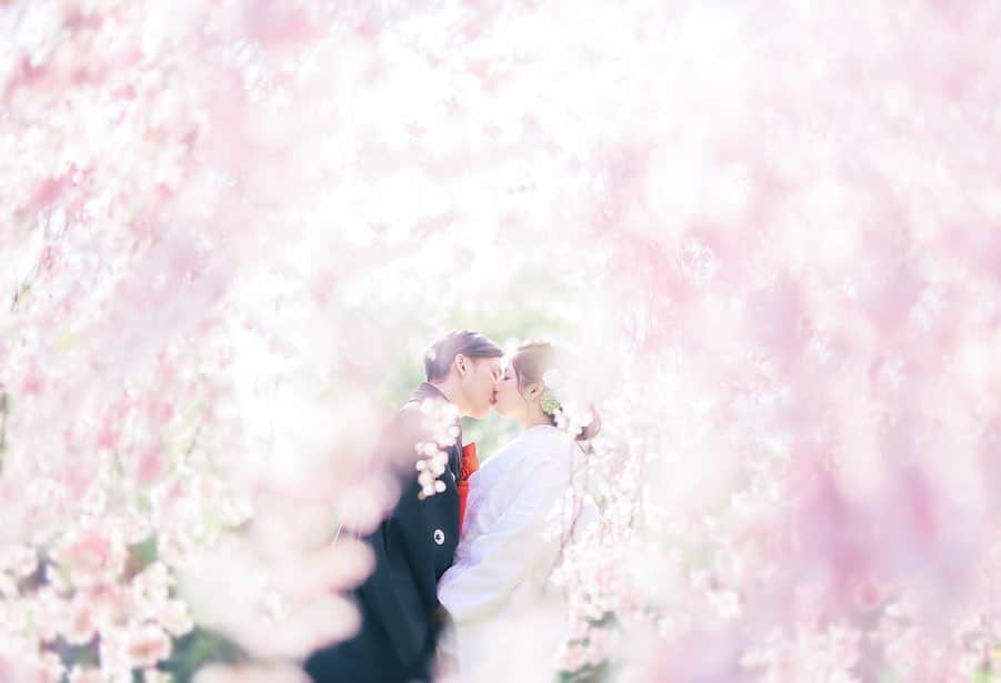 Decollte Wedding Photographyのインスタグラム：「Cherry Blossom season is coming soon🌸❤️﻿ ﻿ #japan #cherry blossom #Decolltephotography #limitedcampaign #Weddingphotography #prewedding #weddingphoto #overseasprewedding #japaneseprewedding #landscapephotography #romantic #love #happiness #日本 #海外婚紗 #優惠 #春節 #婚紗 #唯美 #신부 #웨딩 #웨딩사진」