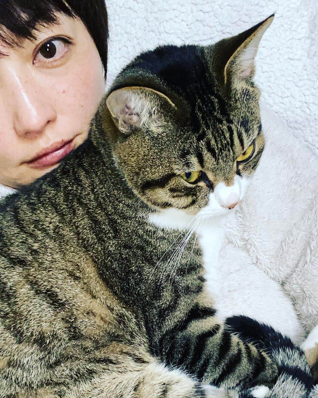 野本かりあのインスタグラム：「私の体の上に乗って、暖を取るルカ。 お互い温かくて、眠くなる💤 #lukarly #catstagram #にゃんすたぐらむ」
