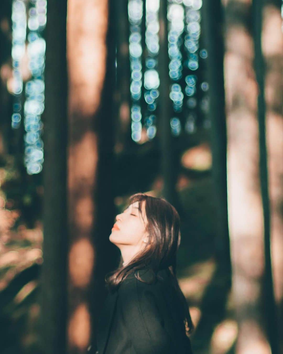 sorayuchiのインスタグラム：「・ 木漏れ日の中で ・ 写真撮りに行きたいです📷」