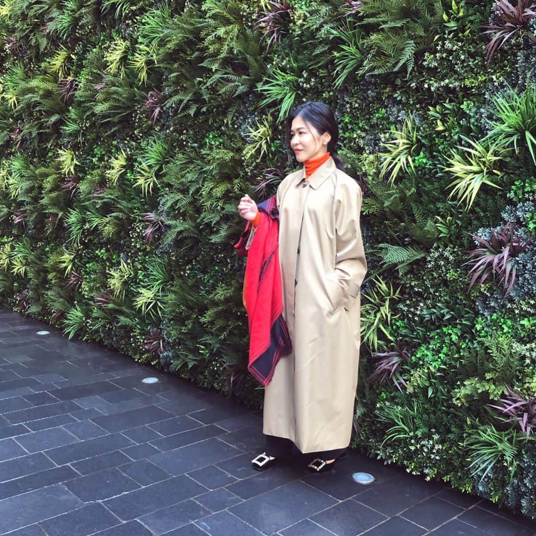 辻直子さんのインスタグラム写真 - (辻直子Instagram)「#jungle#coat#lessage#aquascutum #今日はよく晴れました#なかなかいい日です#きんもちいー☀️ 晴れの日はだいすきです。」1月29日 20時30分 - naoko.ts