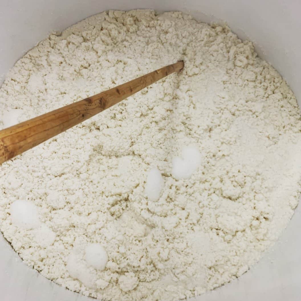 宮田麺児さんのインスタグラム写真 - (宮田麺児Instagram)「今日の醪の様子です✍️ 26日日曜日の留仕込み後では米が水分を吸って干上がった感じでしたが、数日経って全体が溶けて柔らかくなってきました。」1月29日 20時51分 - miyatamenji