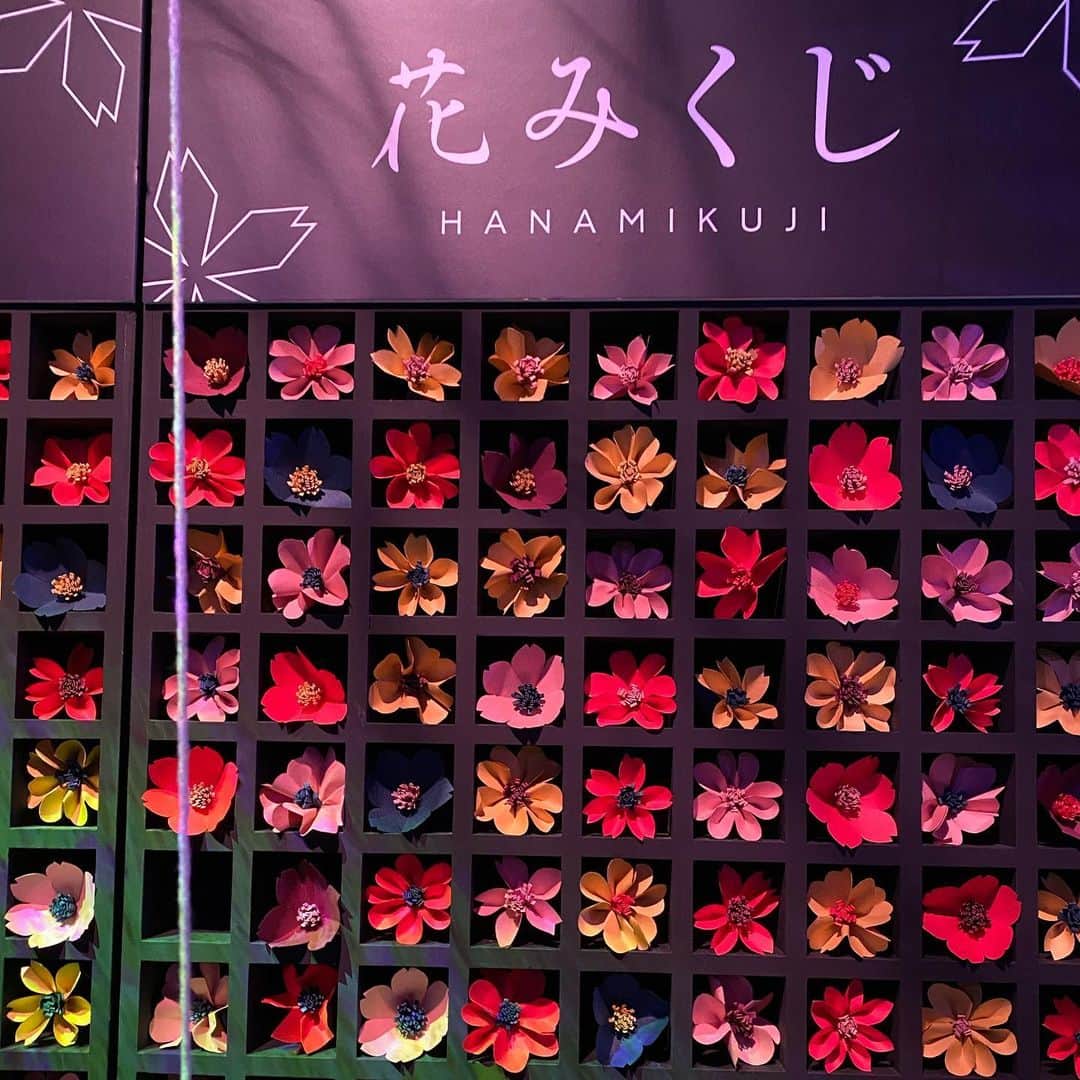 森彩奈江さんのインスタグラム写真 - (森彩奈江Instagram)「明日から開催のFLOWERS BY NAKED 2020のイベントを先行体験してきました🌸🌼﻿ ﻿ お花の優しい香りに包まれながら、収穫体験や花みくじなど、実際に体験しながら楽しめました☺️🌸﻿ ﻿ 実の中のスイーツがとても美味しかったです🍒﻿ ﻿ 日本一早いお花見体験に癒された1日でした🌸🌷❤️﻿ ﻿ #flowersbynaked #フラワーズバイネイキッド　#flowersbynaked2020 #NAKEDが好き　#デジタルアート　#日本一早いお花見　#桜　#日本橋」1月29日 21時18分 - sanaemori_jpba429