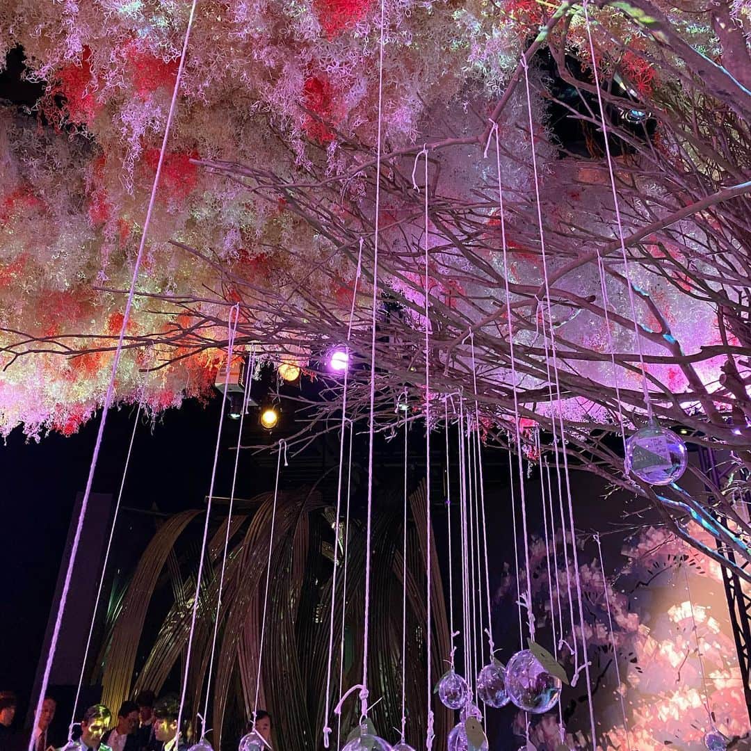 森彩奈江さんのインスタグラム写真 - (森彩奈江Instagram)「明日から開催のFLOWERS BY NAKED 2020のイベントを先行体験してきました🌸🌼﻿ ﻿ お花の優しい香りに包まれながら、収穫体験や花みくじなど、実際に体験しながら楽しめました☺️🌸﻿ ﻿ 実の中のスイーツがとても美味しかったです🍒﻿ ﻿ 日本一早いお花見体験に癒された1日でした🌸🌷❤️﻿ ﻿ #flowersbynaked #フラワーズバイネイキッド　#flowersbynaked2020 #NAKEDが好き　#デジタルアート　#日本一早いお花見　#桜　#日本橋」1月29日 21時18分 - sanaemori_jpba429