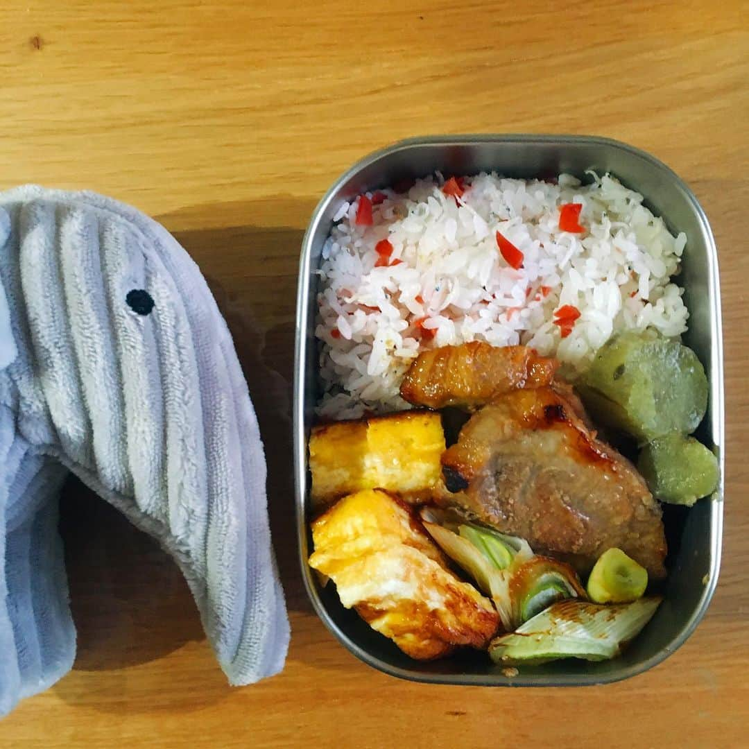 momoroさんのインスタグラム写真 - (momoroInstagram)「今日のお弁当。 カリカリ梅と桜の塩漬けとじゃこの混ぜご飯、ツナ入卵焼き、焼きネギ、豚肉の味噌漬けあぶり焼き、ふかしサツマイモ サツマイモは完全に離乳食ストックから👌 今日は空腹で目が覚めて幸せ☺️ #お弁当 #ももろ弁当」1月30日 6時48分 - momoro6666