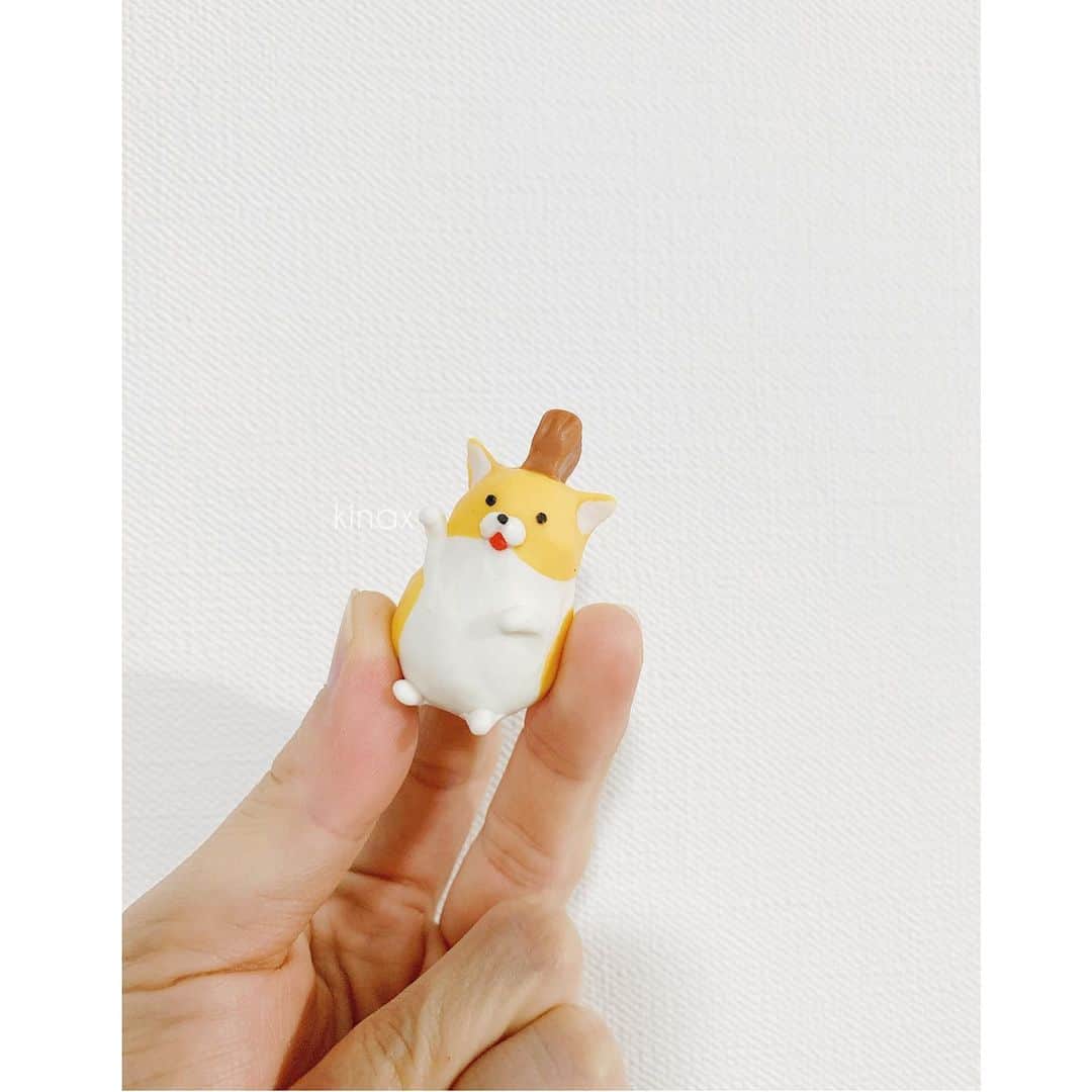 kinaxのインスタグラム：「. good morning(๑′ᴗ‵๑)☀in Japan, and good afternoon, good evening, good night for world friends! . 今日もお天気になりそうな関東☀️ でも乾燥してるので、みんなも喉傷めないようにね💭 . . さてさて、この前ストーリーにアップしたんだけど #ヤンキーハムスター のヘアゴムを 作ってあげたよʕ •́؈•̀ ₎🐹 . 新作は気絶中の清正と メンチ斬り&怖いポーズ、なモヒカン先輩。 . どのキャラもみんな可愛いから どうするか迷ったけども 子供達が喜んでくれたから嬉しいなʕ •́؈•̀ ₎♡ . 形がデコボコしているから髪の毛絡まるけどね！ . . 話はちょっと変わって たっぷり遊んだむちこさんが 昨日珍しくお昼寝していたんだけど ルナが毛繕いをしにきていたよʕ •́؈•̀ ₎ ※髪の毛じゃなく、モコモコのお洋服を着てました . 微笑ましく見ていたら 突然噛み付いたので 大泣きして起きてしまったむちこさん😂 . あの、毛繕い中にガブリするのは グルーミングの一環なのかしら😂 . しばらくトントンしていたらまた寝たんだけど またまた毛繕いしにやってきたルナに 今度は耳をガブリされて 再度大泣きして、さすがに目が覚めたよʕ •́؈•̀ ₎ . . ぐるぐる言いながらむちこさんに寄っていくので 悪気は無いと思うんだけど 噛みつかれたし、まだ眠いしで なかなかのご立腹具合でしたʕ •́؈•̀ ₎笑 . . みんなも加湿して楽しい1日を♡ . #親バカ部 #handmade #ヤンハムかわいい #羊毛で作ると子猫に食べられる #猫バカ部 #ねこすたぐらむ #保護猫 #パステル兄弟 #ルナとソル #毛繕い #からの #がぶり 2020/01/30」