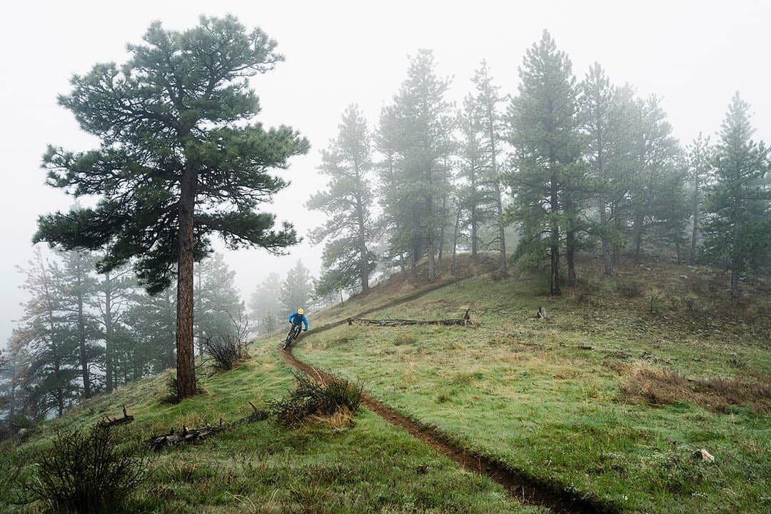 patagoniaさんのインスタグラム写真 - (patagoniaInstagram)「A tale of two test rides. Photo: @danecroninphoto」1月30日 7時54分 - patagonia