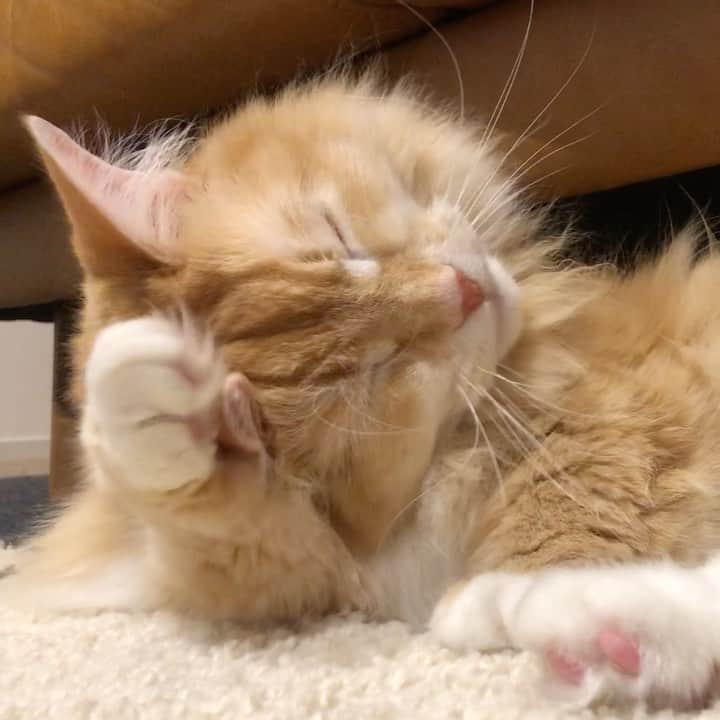 pon_0507のインスタグラム