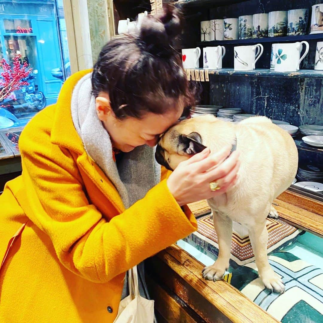 板谷由夏 さんのインスタグラム写真 - (板谷由夏 Instagram)「ASTIER の看板犬　アヴリル 久しぶりにワンコにいちゃいちゃして 犬欲を満たされました、ありがとう。」1月29日 23時28分 - yukaitaya