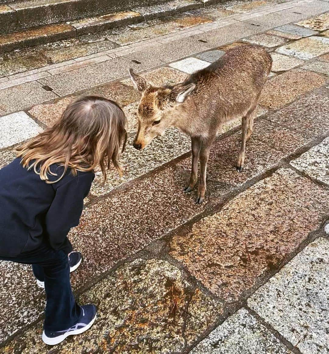 エリザベッタ・カナリスさんのインスタグラム写真 - (エリザベッタ・カナリスInstagram)「Babies」1月29日 23時54分 - littlecrumb_