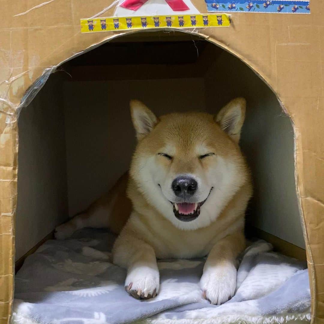 まる（まるたろう）のインスタグラム