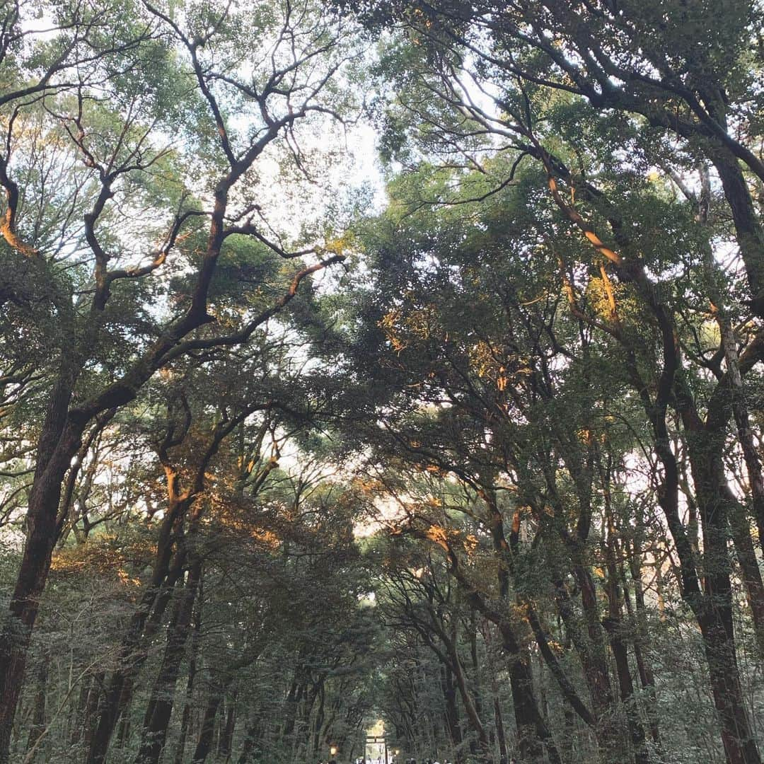 石川直宏さんのインスタグラム写真 - (石川直宏Instagram)「明治神宫での必勝祈願👏 エネルギーに溢れてる⛩✨ 身も心も引き締まりました！！ . #必勝祈願 #明治神宫 #鎮座100年 #fctokyo #FC東京 #tokyo #fctokyoclubcommunicator  #FC東京クラブコミュニケーター #CC」1月30日 0時59分 - sgss.18