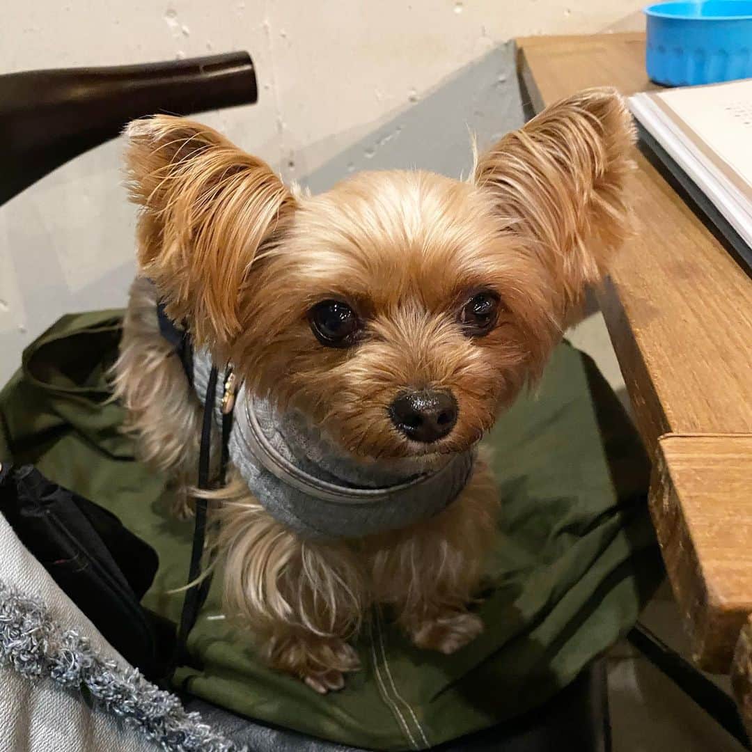 Rubyのグルメインスタ